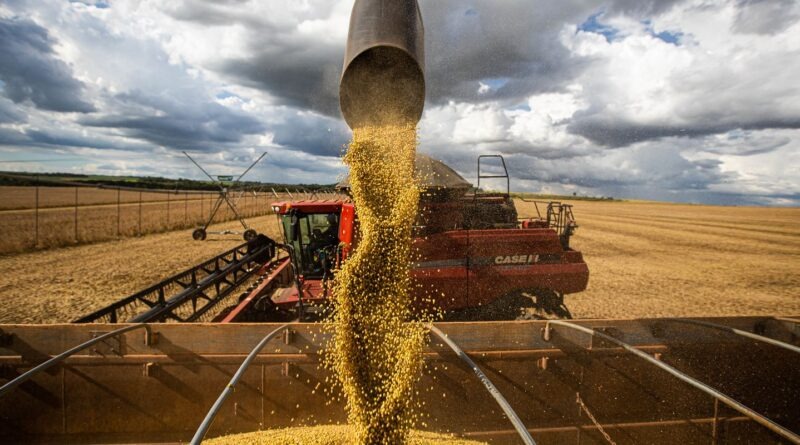 Valor da Produção Agropecuária de 2022 é estimado em R$ 1,188 trilhão
